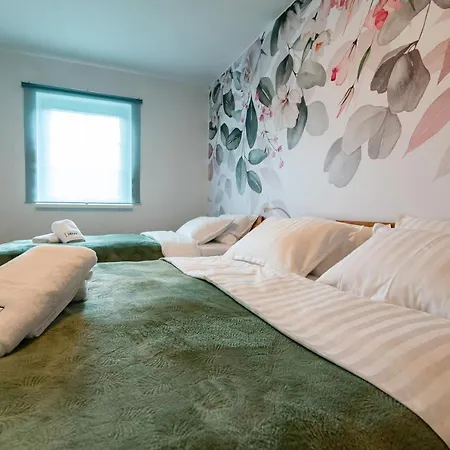 Mizu Apartma Vas Lipa Olimje Apartment *