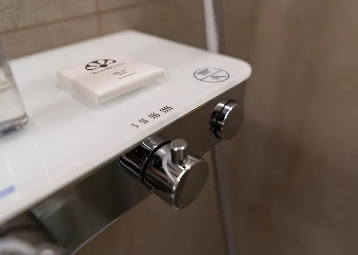 Mizu Apartma Vas Lipa Olimje